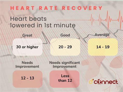 Heart Rate Recovery: What It Is, Why It Matters, Tips .